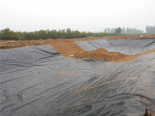 芜湖土工膜 垃圾填埋土工膜生产厂家批发销售