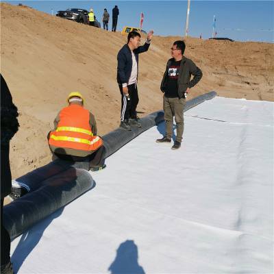 云南普洱湖泊水利工程用膨润土防水毯 地下水库防渗纳基膨润土防水毯